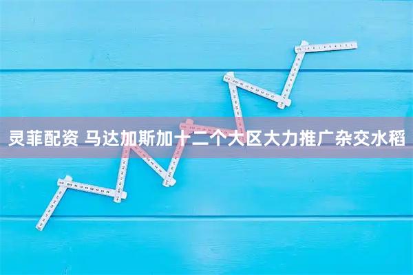 灵菲配资 马达加斯加十二个大区大力推广杂交水稻